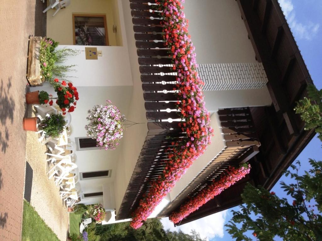 Pension Harrasser Falzes Exterior photo